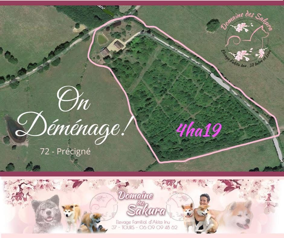 L'élevage en Photo